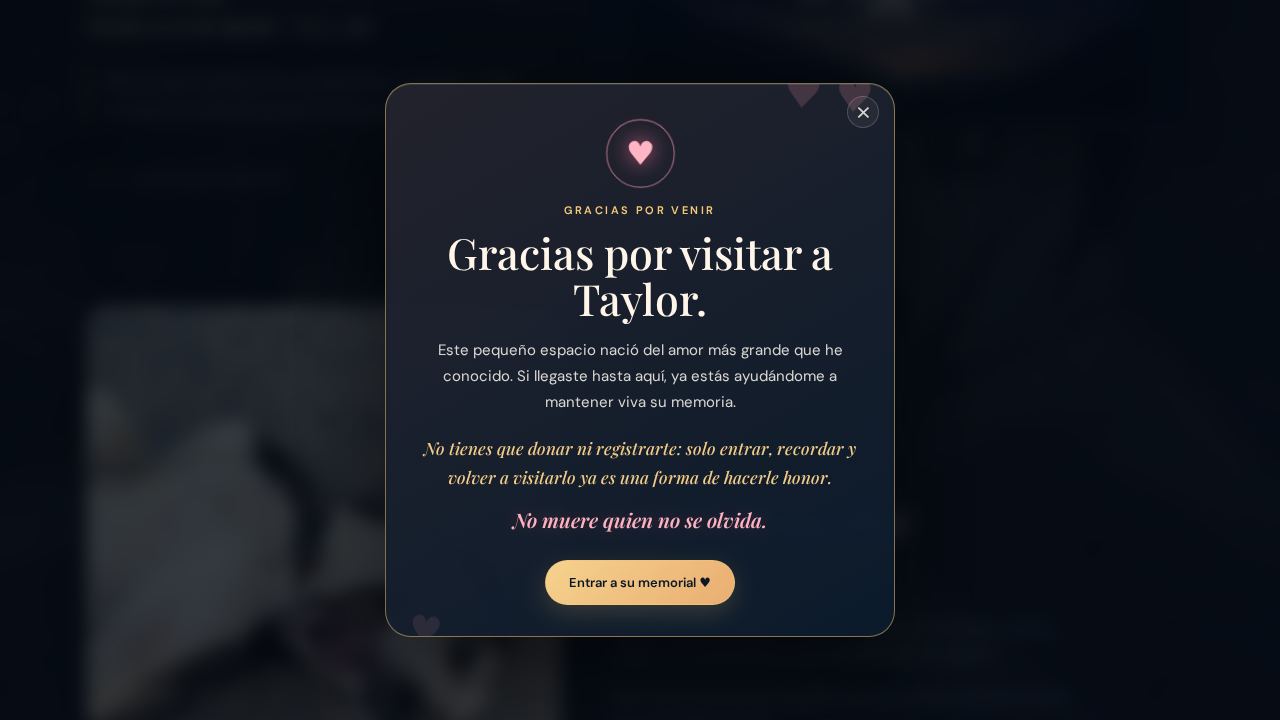 Taylor · En memoria